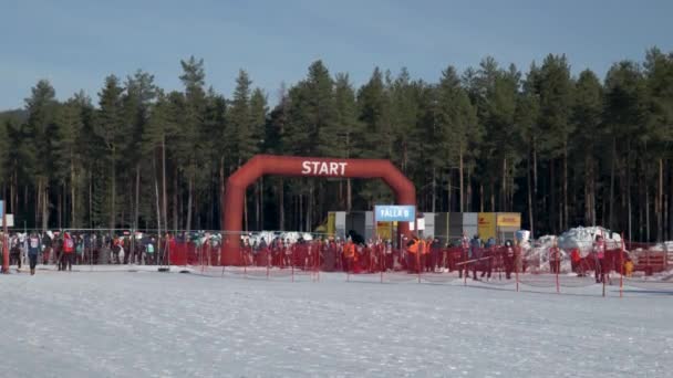 Mujeres Esquiadoras Preparándose Para Empezar Tjejvasan Oxberg Dalarna Suecia — Vídeo de stock