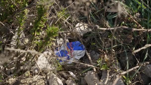 Flattened Red Bull Can Lying Coastal Bushes Littering Nature — Stock video
