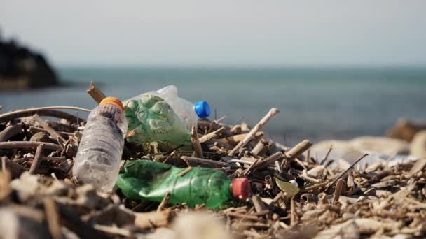 Botellas Plástico Desechadas Que Contaminan Costa Enfoque Superficial Primer Plano — Vídeo de stock