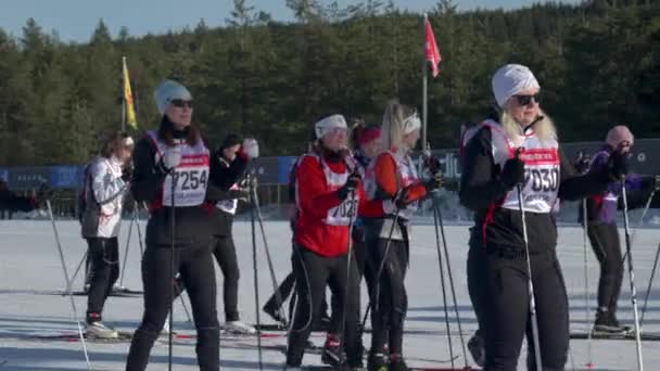 Skirennläuferinnen Beim Skirennen Vasaloppet Tjejvasan Kurz Vor Dem Start — Stockvideo