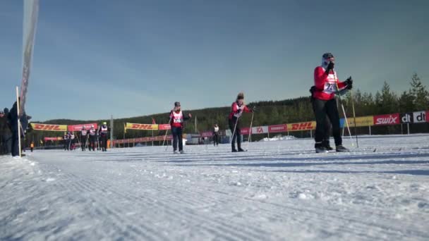 Cross Skiers Těsně Před Startem Vasaloppet Tjejvasan Low Angle Wide — Stock video