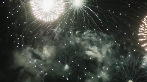 Πυροτεχνήματα Μαύρο Φόντο Στην Εορταστική Περίοδο Βρόχους Βίντεο — Αρχείο Βίντεο