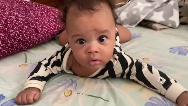 Month Lovely Afroeuropean Baby Big Black Eyes Wearing Black White — Wideo stockowe