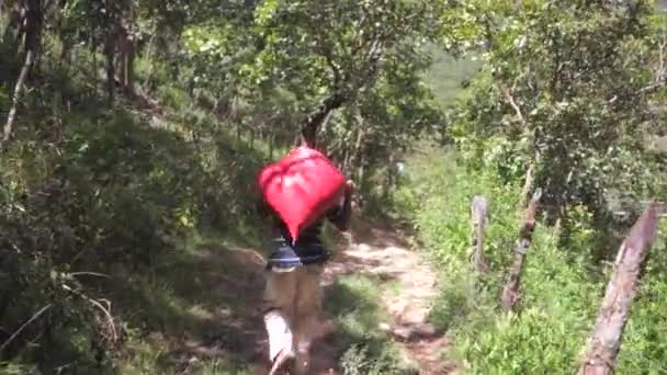Man Carrying Red Bag Full Coffee Beans Downhill His Way — Video