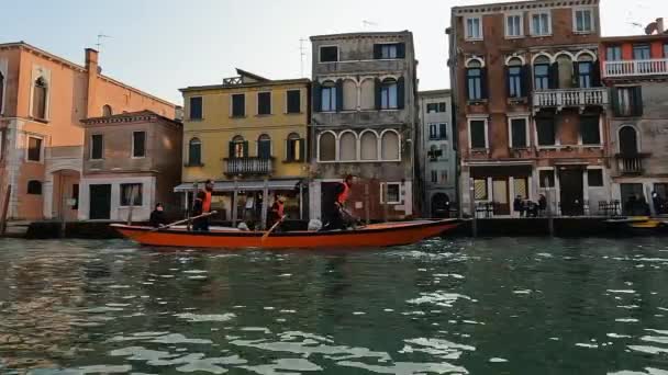 Team Four Rowers Training Rowing Standing Venetian Canal Venice Italy — Vídeo de Stock