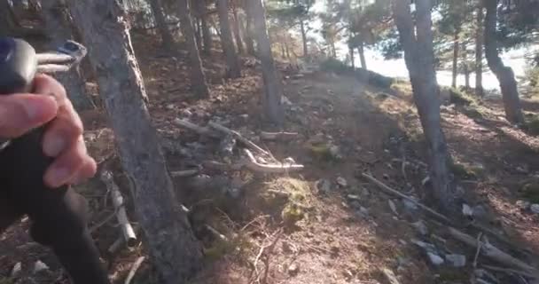 Pov Promenader Med Vandringsstavar Bergskedjan Nära Madrid Spanien Ung Vandrare — Stockvideo