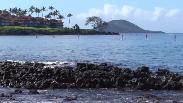 Paddle Stravování Jízda Kajaku Wailea Populární Plážové Letovisko Město Maui — Stock video