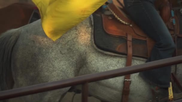 Cowboy Krijgt Naar Beneden Met Trots Van Een Race Paard — Stockvideo