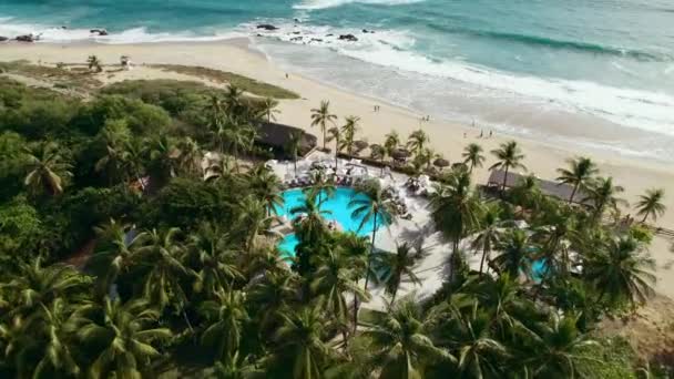 Beautiful Beach Club Surrounded Palm Trees Overlooking White Sand Beach — Stok video