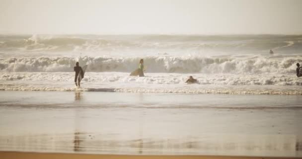 Surfers Enjoying Sunny Day Beach Teste Buch France Gimbal — Stok video