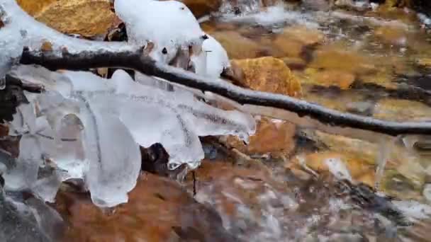 Las Ramas Congeladas Cubiertas Hielo Icicles Cayeron Sobre Pequeño Río — Vídeos de Stock