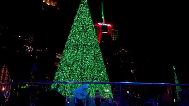 Rinque Patinação Gelo Livre Com Árvore Natal Centro Pittsburgh — Vídeo de Stock