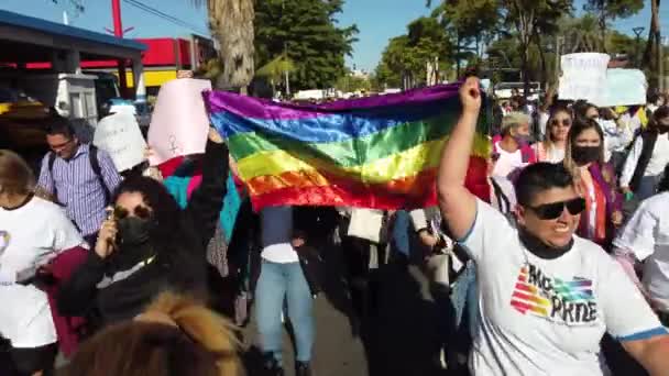 Meksika Uluslararası Kadın Eşitliği Günü Nde Lgbtq Bayrağı Taşıyan Yürüyüş — Stok video