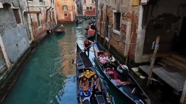 Gondolas Gondolier Rowing City Canal Venice Italy Slow Motion High — Vídeo de Stock