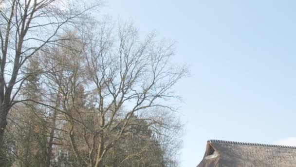 Pan Leafless Tree Woeste Hoeve Famous Historical Inn Netherlands — Videoclip de stoc