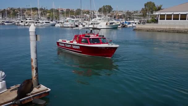 Orange County Sheriff Boat Turning Dana Point Harbor Southern California — Stock Video