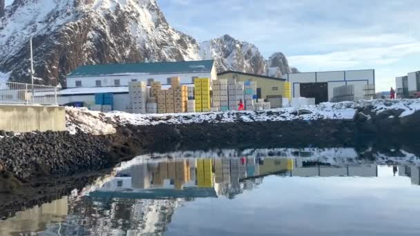 Forklift Loading Truck Solvaer Fish Factory Lofoten Islands Sunny Winter — ストック動画