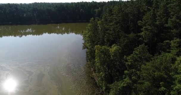 Aerial Coastline View Kashubian Lake District Pomeranian North Poland Europe — Wideo stockowe