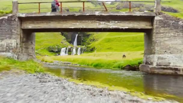 Famous Tourist Destination Beautiful Lush Green Arctic Cascade Southern Iceland — Vídeos de Stock