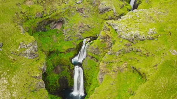 Wunderschöne Arktische Kaskaden Umgeben Von Einer Lebendigen Isländischen Landschaft Drohne — Stockvideo