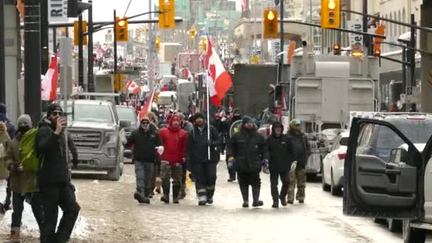 Protester Walking Streets Trucker Freedom Convoy — Stock video