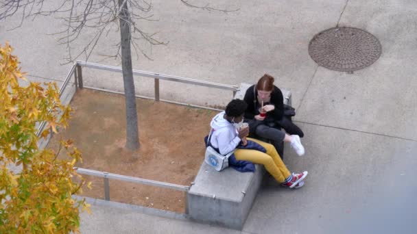 Two Young Friends Sit Concrete Bench Tree Talk Eachother Drinking — Wideo stockowe