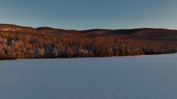 Frozen Lake Covered Snow Wilderness Golden Hour — Wideo stockowe