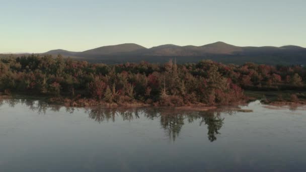 Aerial Lake Shoreline Autumn Colored Foliage Woodland — Stok video