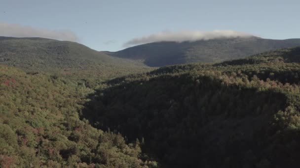 Sonbaharın Başlarında Dağlara Uzanan Geniş Bir Orman — Stok video