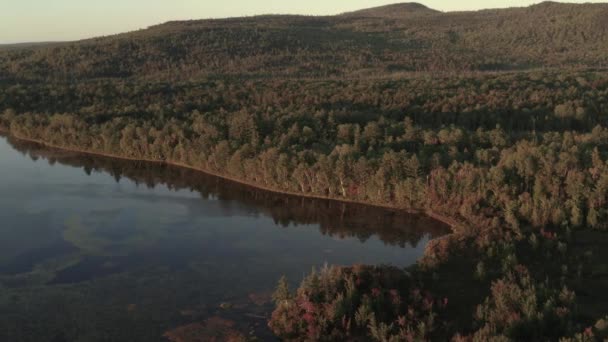 Luz Hora Dourada Brilha Lago Através Paisagem Densa Floresta Aérea — Vídeo de Stock