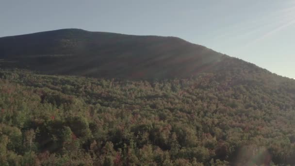 Forêt Luxuriante Dense Étend Sur Montagne Plan Aérien — Video