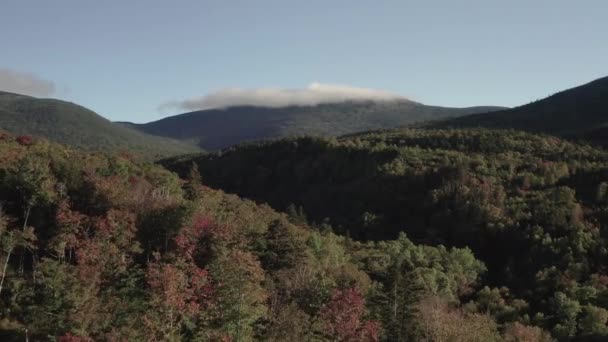 Erken Sonbahar Ağaçların Üzerinden Uçuyor Göz Alabildiğince Uzanıyor — Stok video