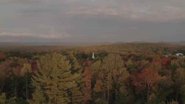 Church Peaking Dense Fall Colored Woodland Landscape Aerial — Stockvideo