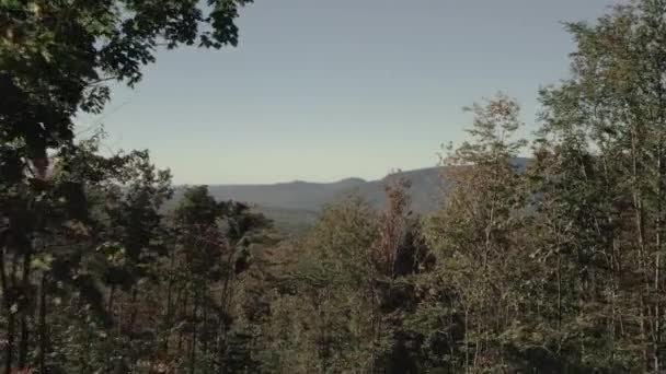 Flying Tree Canopy Reveal Vast Wilderness Expanse Aerial — Vídeo de stock