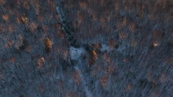 Spectacular Aerial Wilderness Landscape Covered Snow Golden Hour — Vídeo de stock