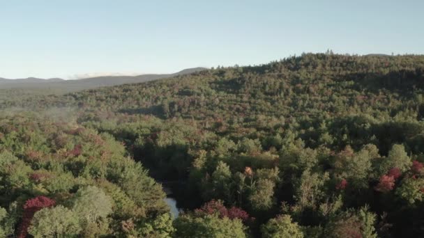 Wilderness Dense Early Autumn Woodland Landscape Aerial — Vídeo de Stock