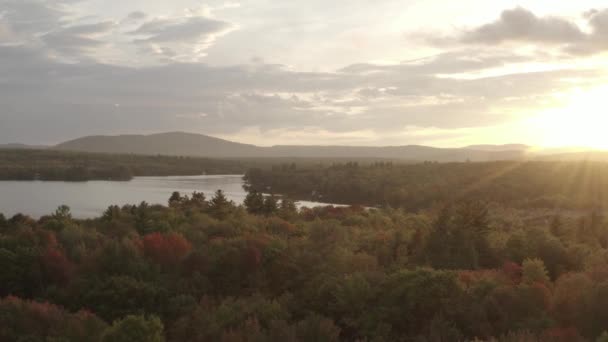 Magnificent Autumn Colors Lakeshore Landscape Wilderness Sunset — Video Stock