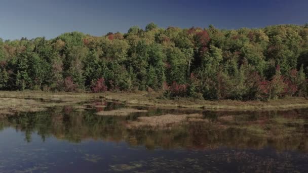 Dark Clouds Dense Forestry Covered River Bank Aerial Shot Tracking — Stock Video