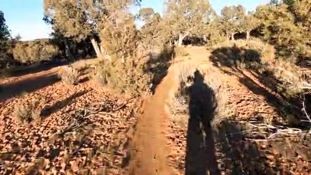 Shadow Cyclist Waving While Ride Desert Bushy Trail Sunny Day — Stok video