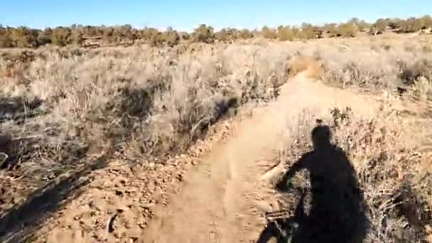 Riding Desert Trail Overgrown Surroundings Sandy Platns Pov Ride — стоковое видео