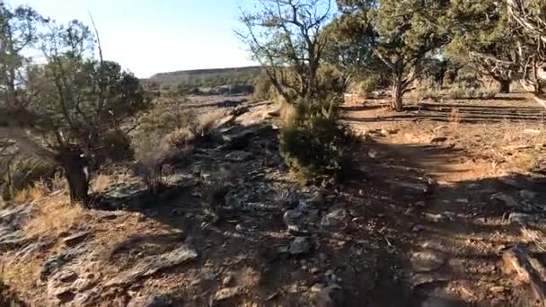 Majestic Desert Biking Trail Sunny Day While Ride Pov — стоковое видео