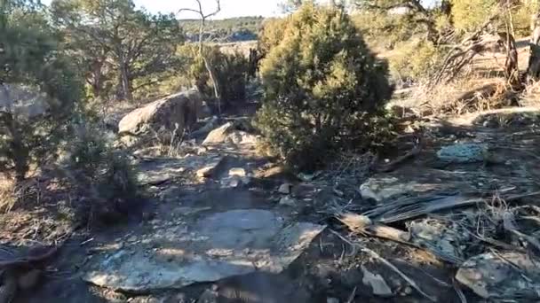 Equitazione Terreni Rocciosi Estremi Zona Montagna Tipo Deserto Pov Girato — Video Stock