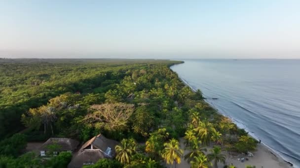 Drone Aerial View Tropical Paradise Caribbean Sea Pristine Green Coastline — Stockvideo