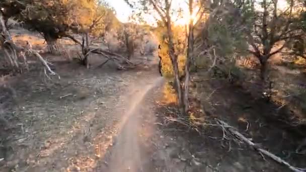 Couple Ride Bicycles Desert Trail Golden Sunset Time Pov Shot — Stock Video