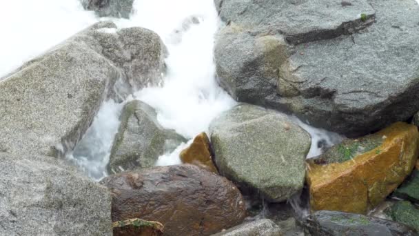 View Rocks Limpets Sea Shore Hit Waters Waves Breaking Rocks — Vídeo de Stock