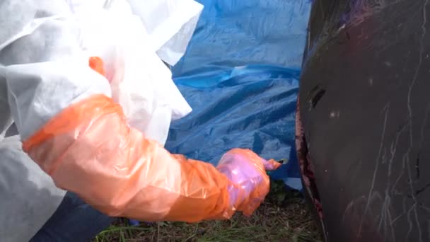 Zoologists Perform Autopsy Washed Whale Carcass Beach — Stockvideo