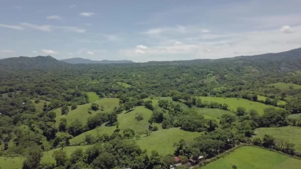 Γεωργικές Εκτάσεις Στο Διαμέρισμα Paz Στο Σαλβαδόρ Κεντρική Αμερική Dolly — Αρχείο Βίντεο