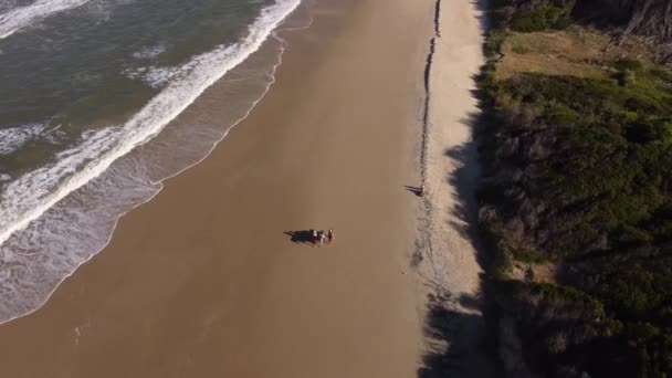 Tiro Aéreo Rotacional Salva Vidas Inspecionando Praia Cavalos — Vídeo de Stock