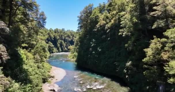 Flyger Genom Smal Ravin Svarvning Frodig Buske Waipakihi River Nya — Stockvideo