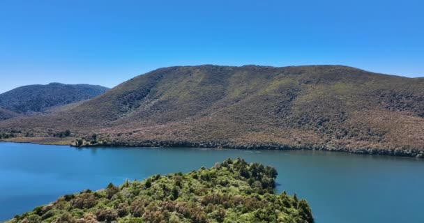 Tiefflug Über Der Insel Motuopuhi Naturbusch Lake Rotoaira Neuseeland — Stockvideo